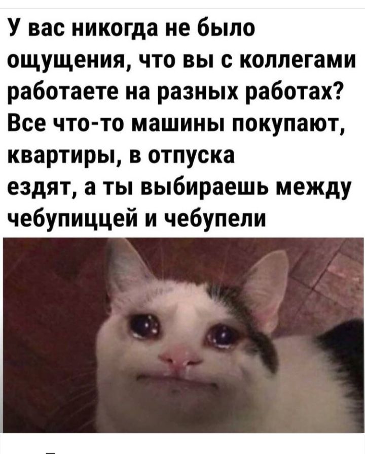 У вас никогда не было ощущения, что вы с коллегами работаете на разных работах? Все чтото машины покупают, квартиры, в отпуска ездят, а ты выбираешь между чебупиццей и чебупели