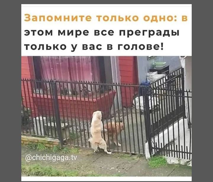 Запомните ТОЛЬКО ОДНО В ЭТОМ мире все преграды