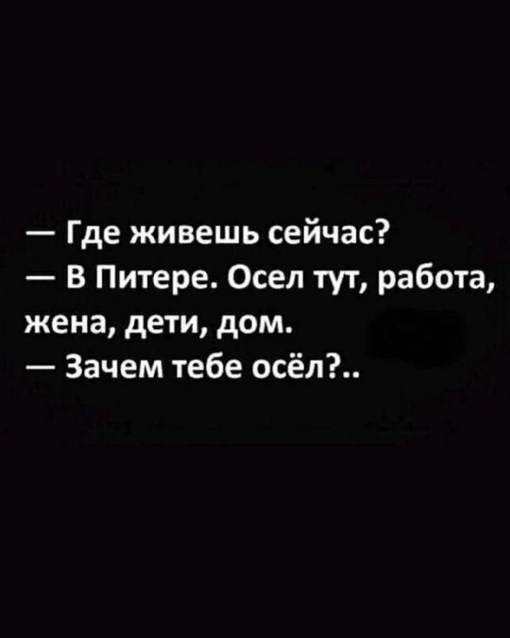 Где живешь сейчас В Питере Осел тут работа жена дети дом Зачем тебе осёл