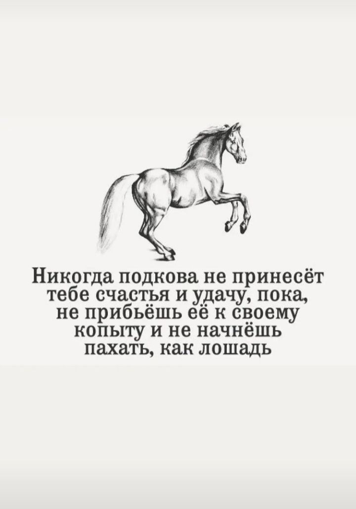 Никогда подкова не принесёт тебе счастья и удачу пока не прибьешь ее к своему копыту и не начнешь пахать как лошадь