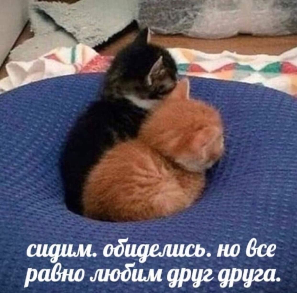 спеши обидещаз но все радио любим друг уруга