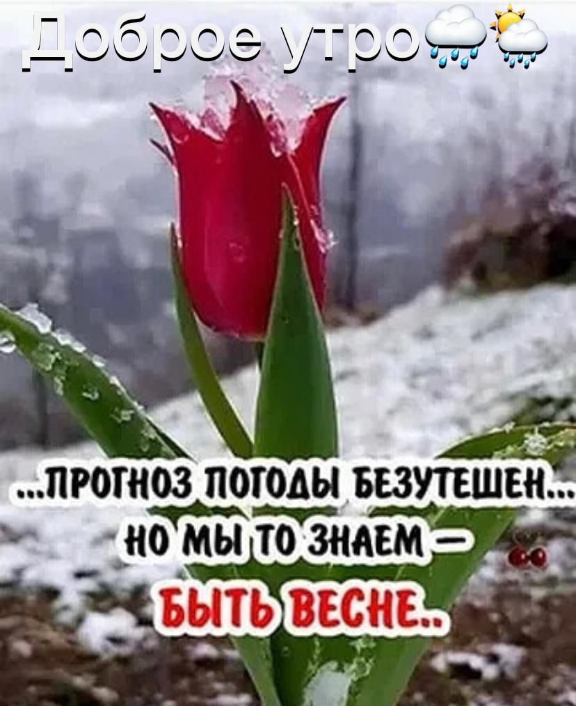 ПРОТН63 ПОГОДЫ БЕЗУТЕШЕН і