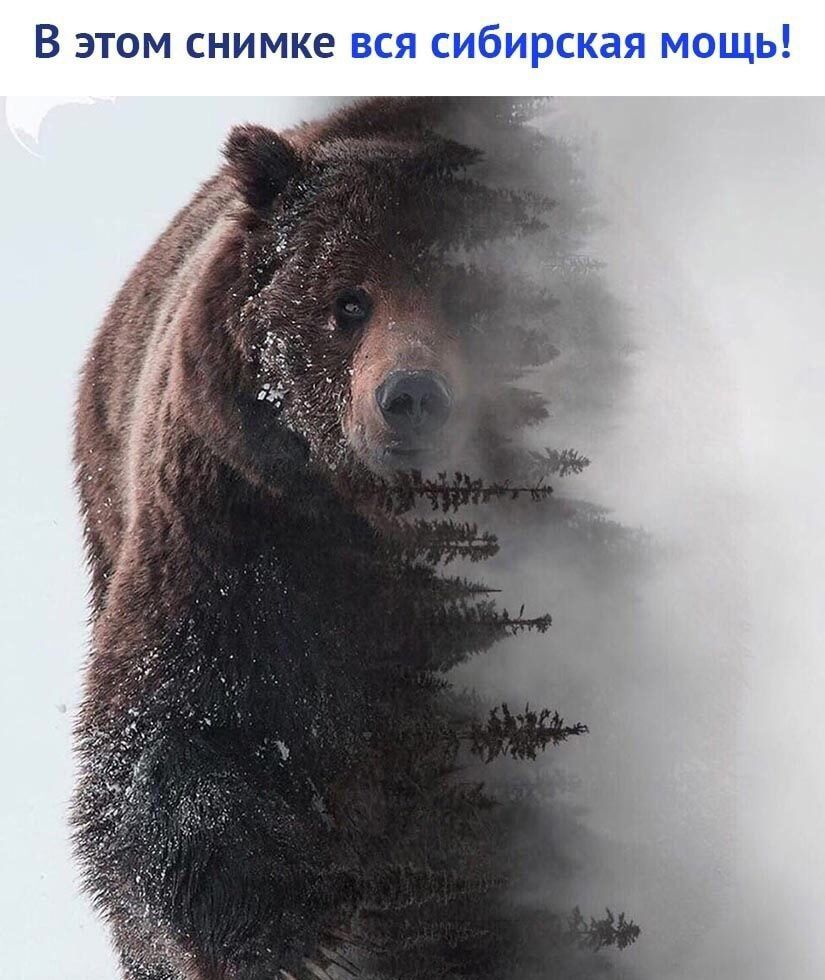 В этом снимке вся сибирская мощь