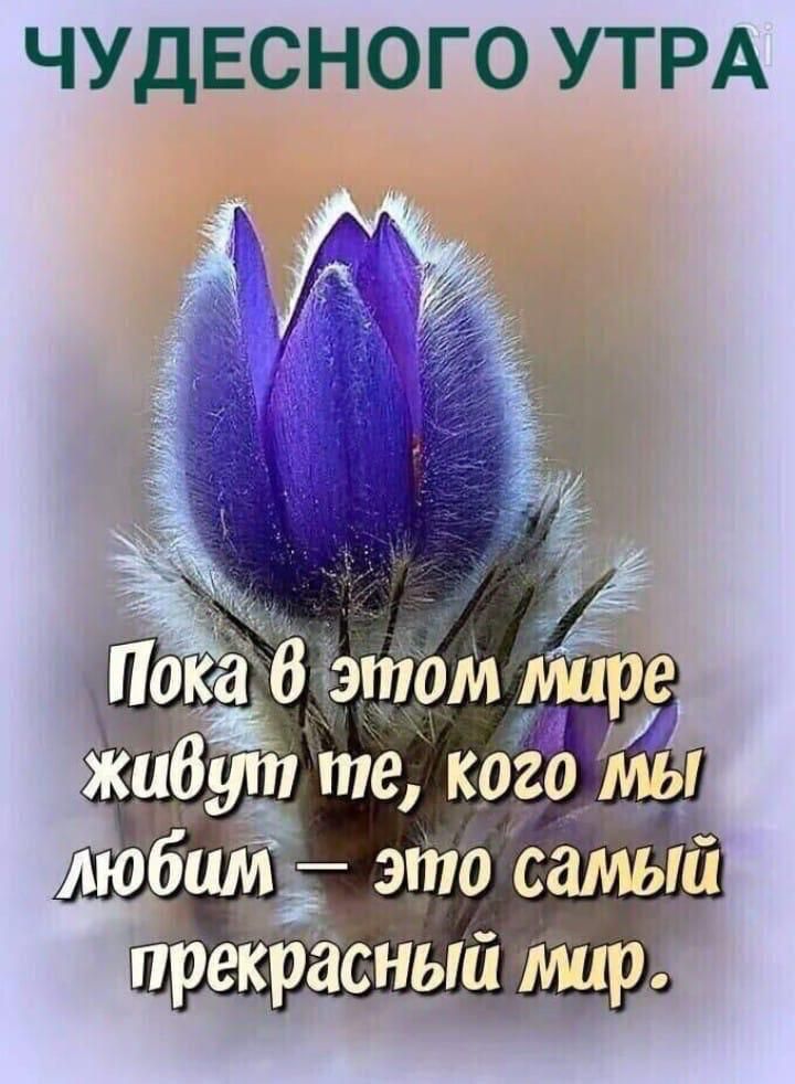 ЧУДЕСНОГО УТРА
