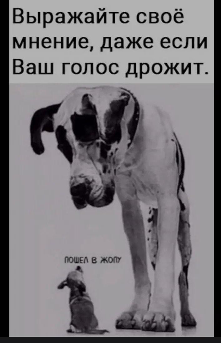 Выражайте своё мнение даже если Ваш голос дрожит