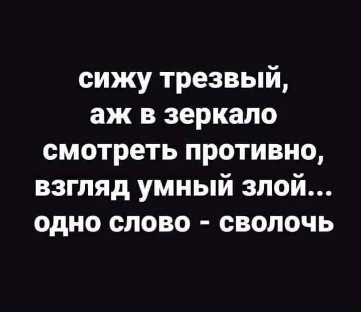 сижу трезвый аж в зеркало смотреть противно взгляд умный злой одно слово сволочь