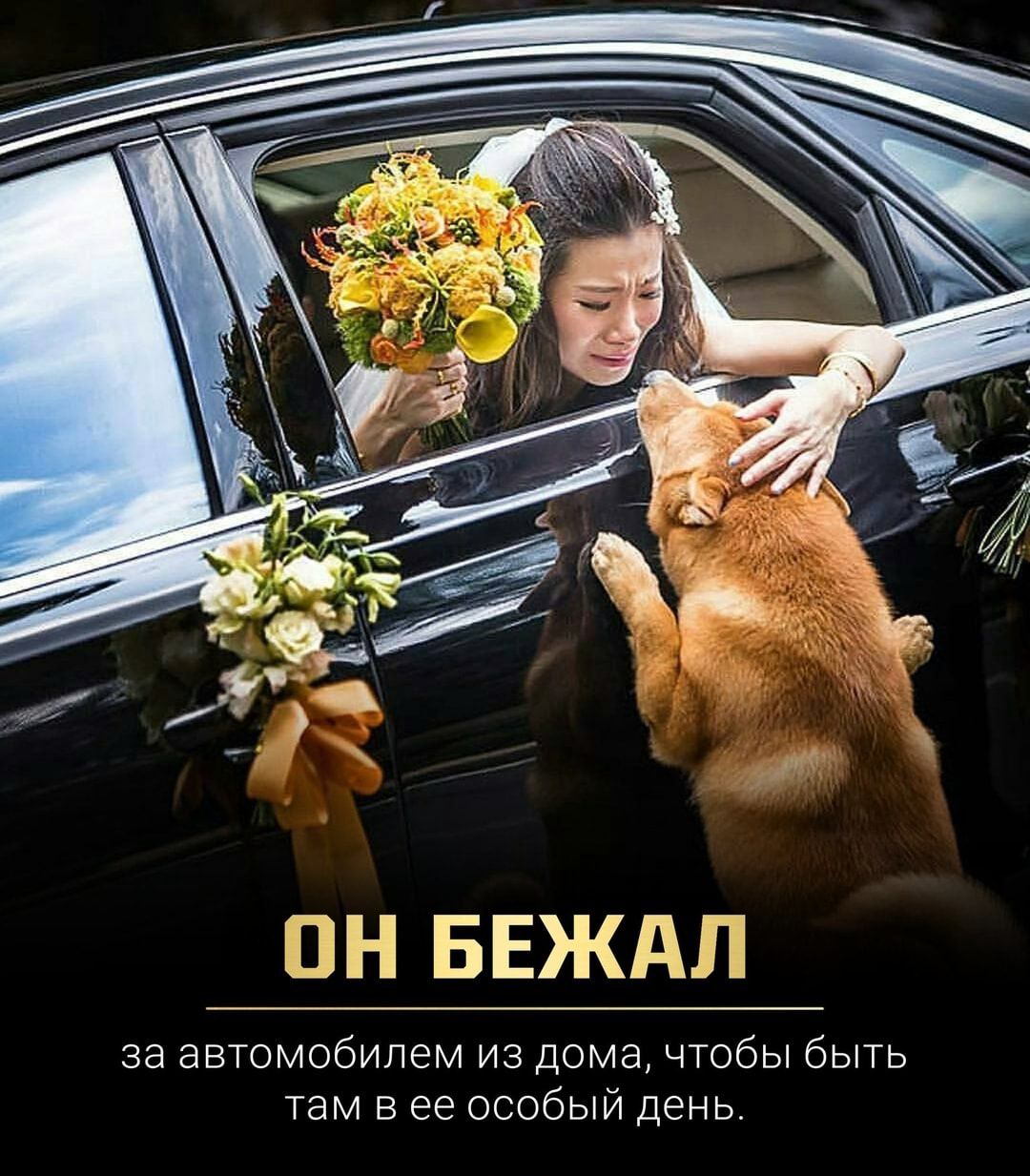 Н БЕЖАП за автомобилем из дома чтобы быть там в ее особый день
