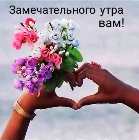 Замечательного утра