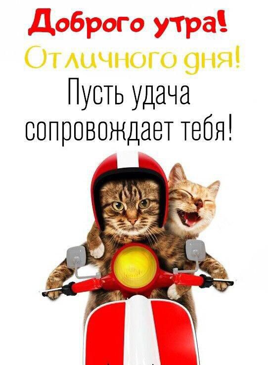 Доброго утра Пусть удача сопровождаеТ тебя