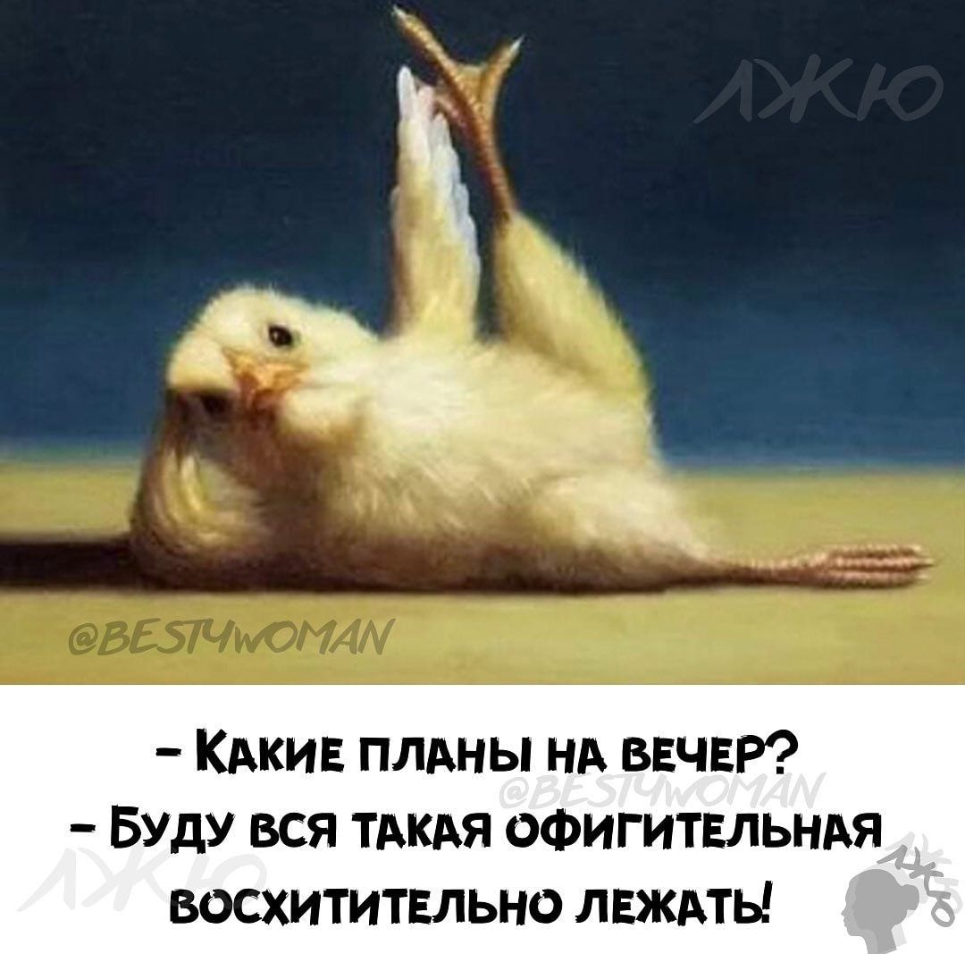 КАКИЕ ПЛАНЫ нд ВЕЧЕР Буду вся ТАКАЯ офигитвльнлхя восхитительно лвждты