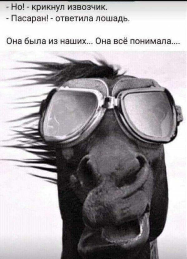 Но крикнул извозчик Пасаран _ ответила лошадь Она была из наших Она все понимала