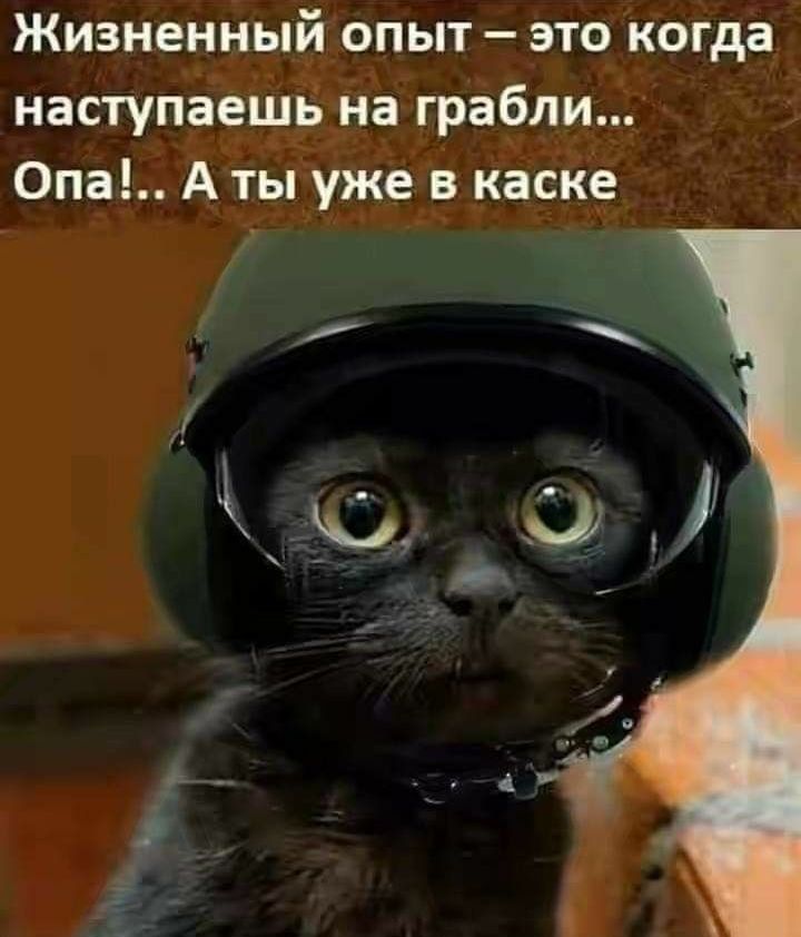 Жизненный опыт это когда наступаешь на грабли Опа А ты уже в каске