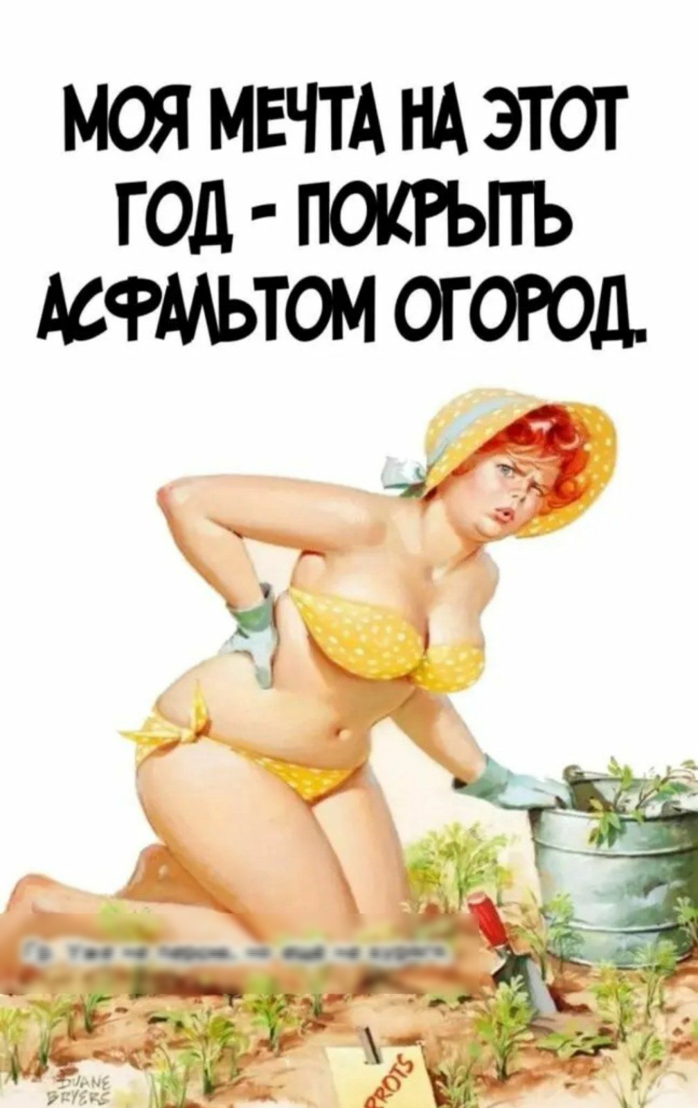 МОЯ МЕЧТА НА ЭТОТ ПОКРЫТЬ АСФАЬТОМ ОГОРОД ГОД
