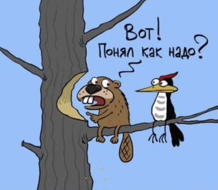 Боті Понял Как надо