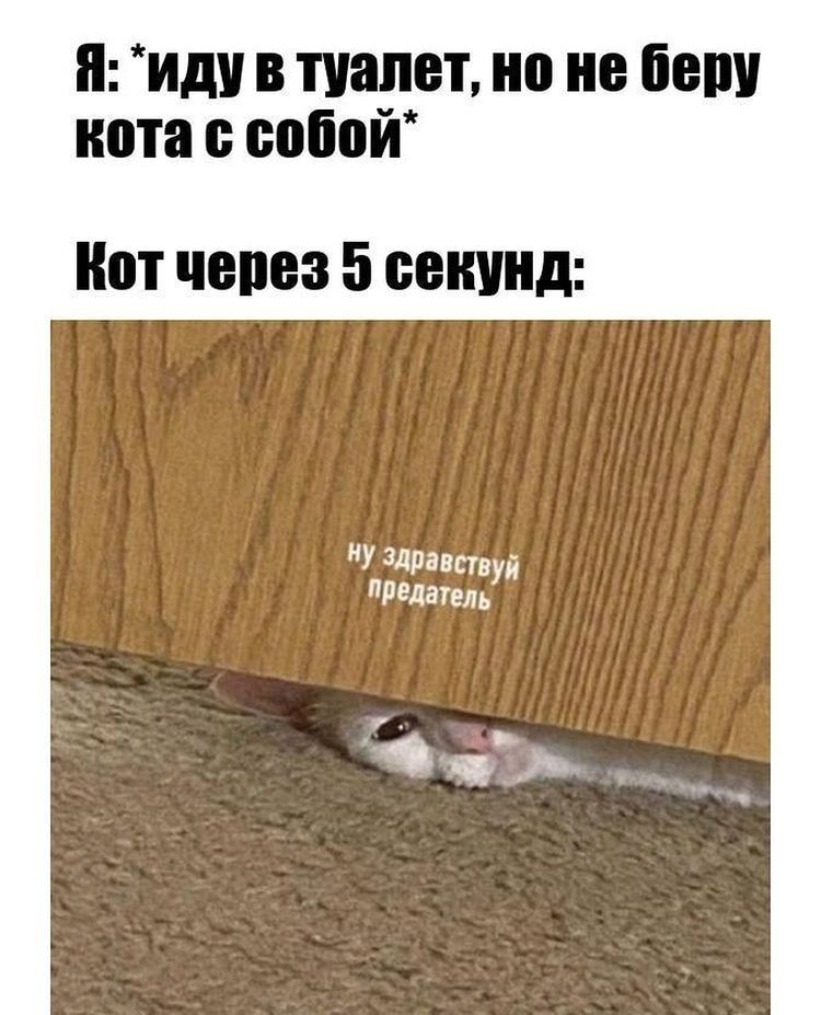 иду в туалет но не пишу нота совой иот через 5 БЕИШЩ