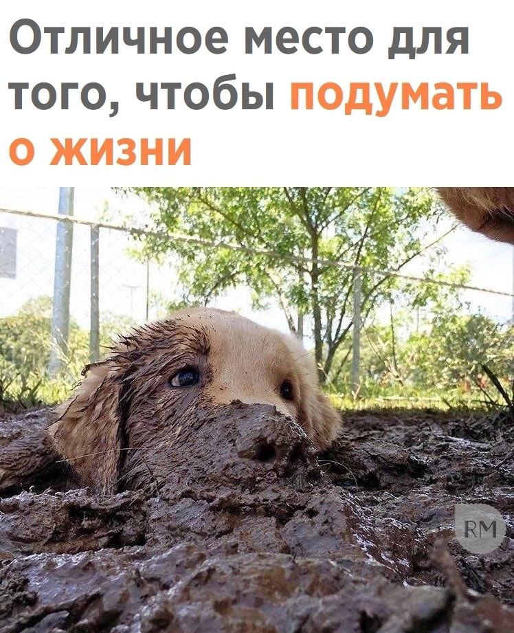 Отличное место для того чтобы подумать о жизни