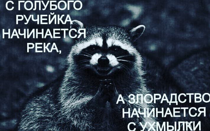 с голуп_50г9 РУЧЕИКАГ НАЧИНАЕЪС РЕКА