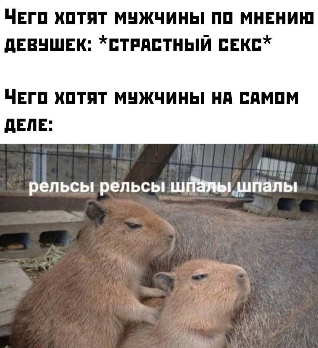 ЧЕГП иптпт мнжчииы пп мивииш денншвк тппптный ЕК ЧЕГП ШТПТ МНЖЧИНЫ НП ВПМПМ дЕПЕ и рельсы рельсы ШМЦДПЗПЫ
