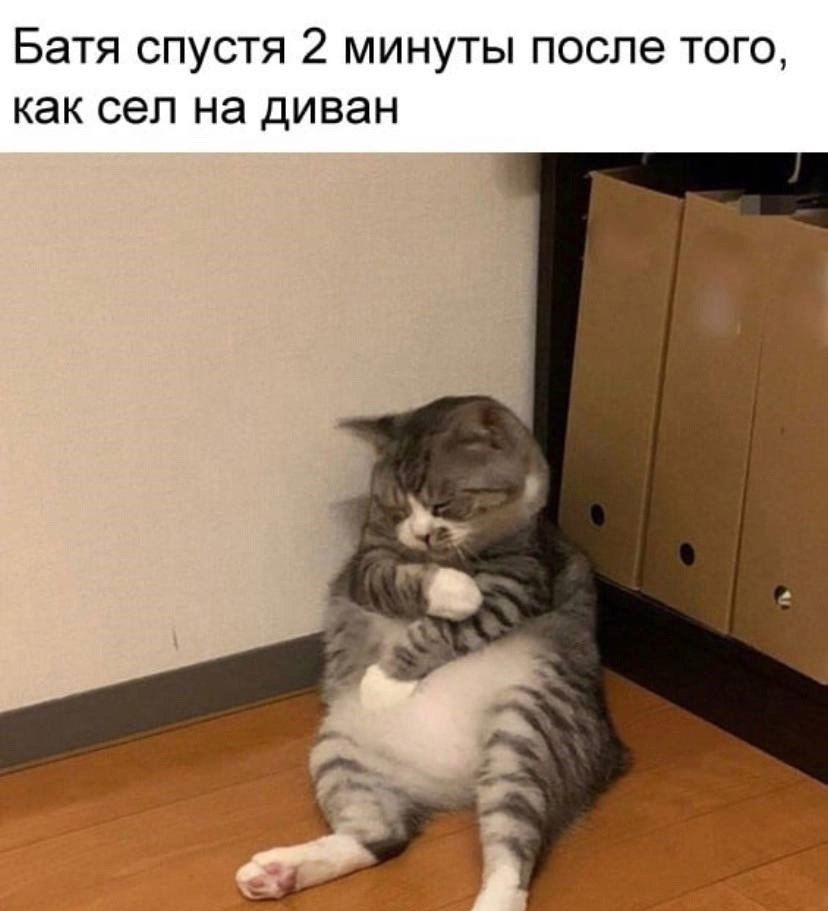 Батя спустя 2 минуты после того как сел на диван