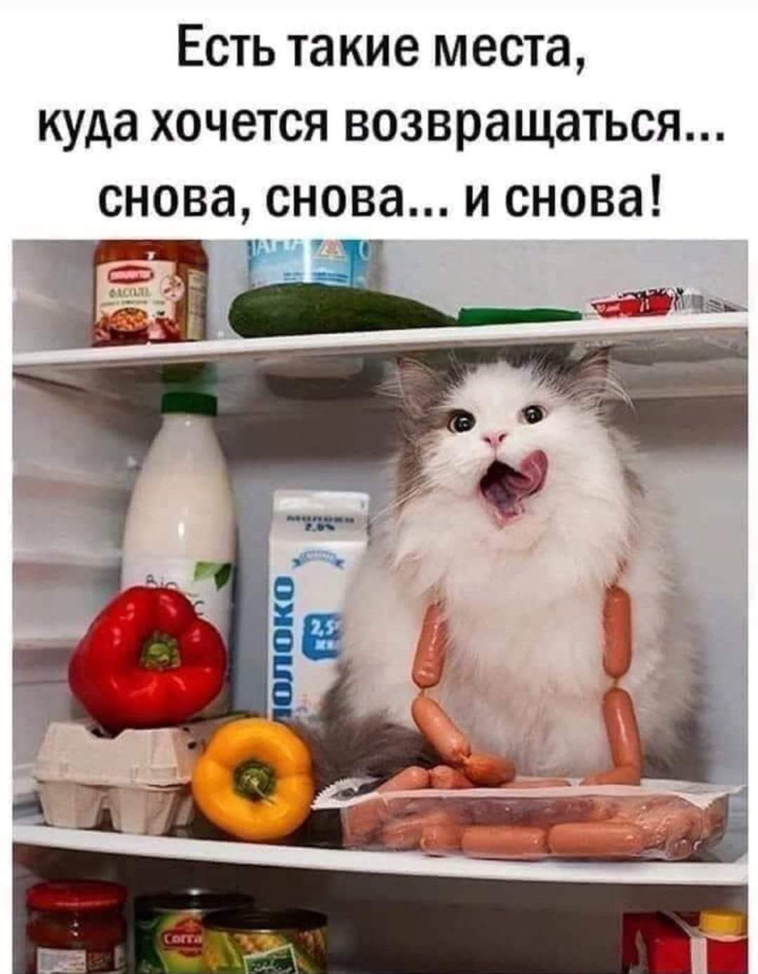 Есть такие места куда хочется возвращаться снова снова и снова