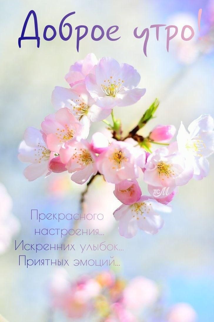 Доб дов за