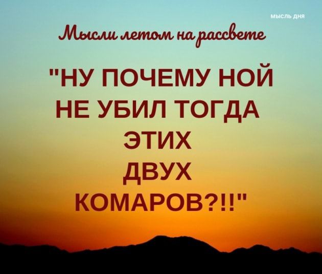 шмнш ну ПОЧЕМУ ной НЕ увип ТОГДА этих двух