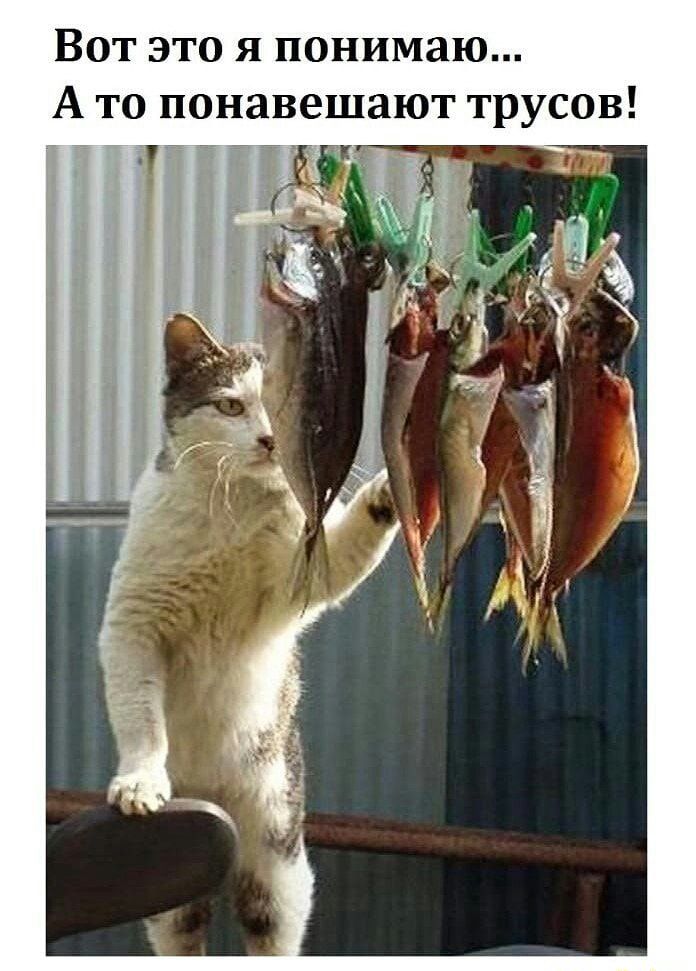 Вот это я понимаю А то понавешают трусов