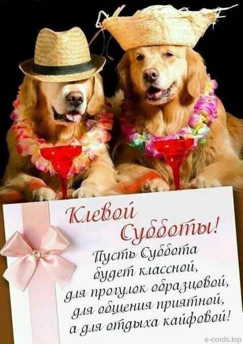 скхшмліт Пшппп Спали 17АкПі іх ПЛАНОМ обра энобші ПРИЧИНЫ фаіши А ПРИН Шіх 1 ПідЦМП И Ц ЦПП П М