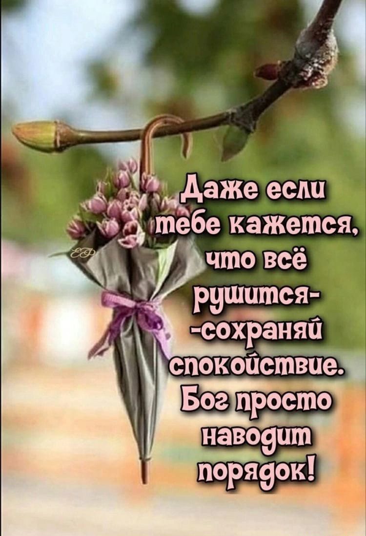 навоэит поряеок