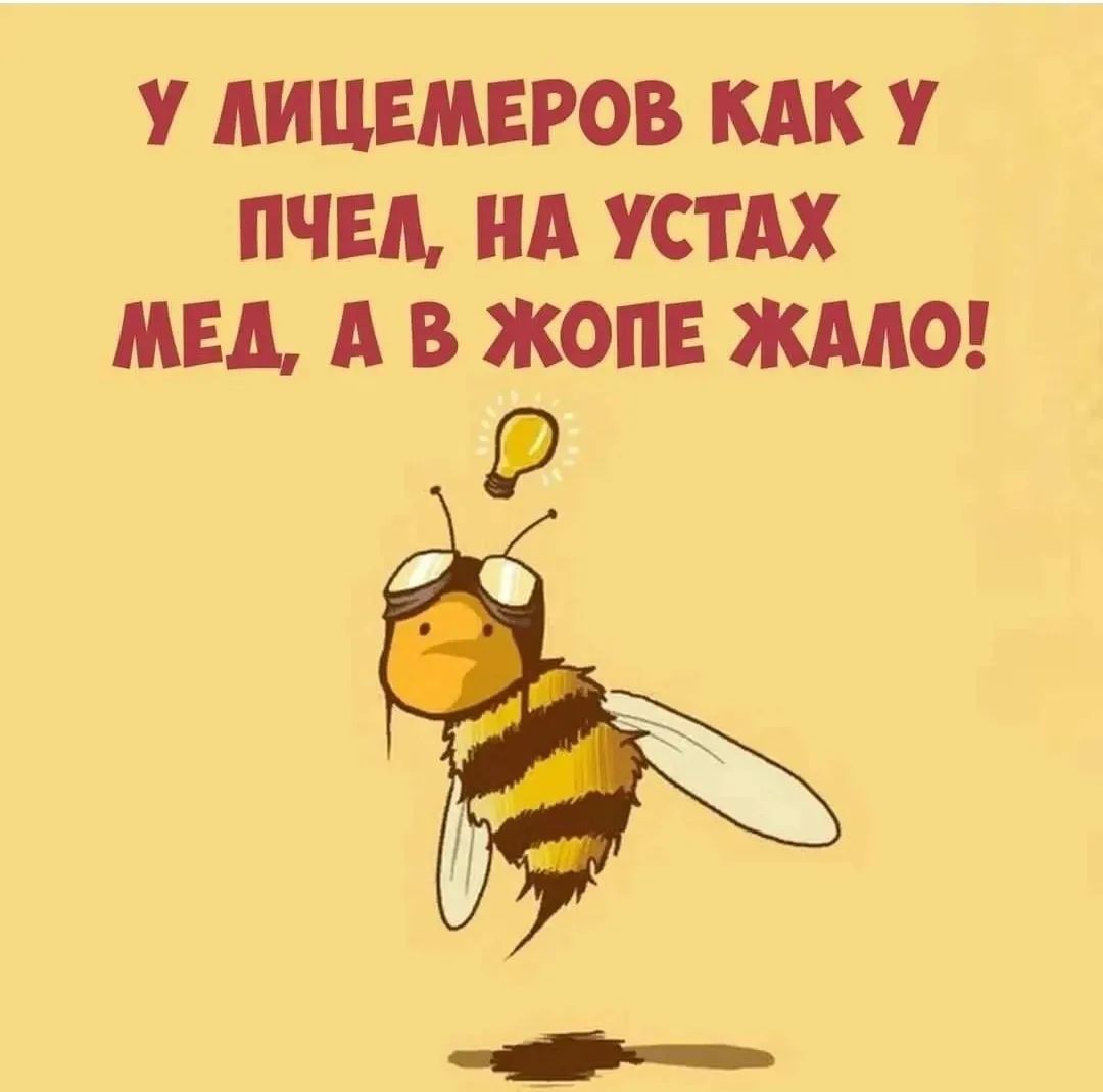 У АИЦЕМЕРОВ КАК У ЧЕЛ Нд УСТАХ МЕД А В ЖОПЕ ЖААО