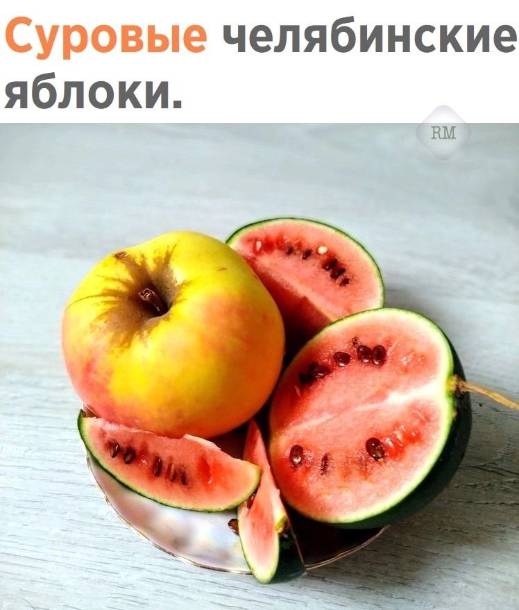 челябинские яблоки