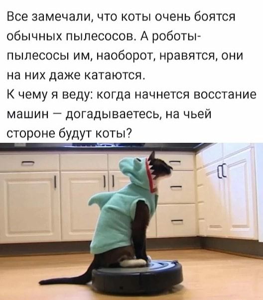 Все замечали что коты очень боятся обычных пылесосов А роботы пыпесосы им наоборот нравятся они на них даже катаются К чему я веду когда начнется восстание машин догадываетесь на чьей стороне будут коты
