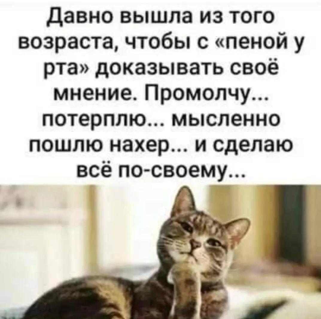 Погостить бы у бабули Только в доме света нет Нет дорожки до крылечк Потому  чтоЕЕ НЕТ Есть такие в жизни рань И лечить их смысла нет Приезжайте вы к  бабуле Пока есть