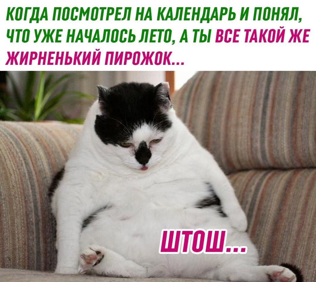 К0ГдА ППЬМЩРЕЛ НА КАЛЕНДАРЬ И ППНЯЛ ЧТП УЖЕ ИАЧАЛМЬ ЛПП А ТЫ ВЬЕ ТАКПЙ ЖЕ ЖИРНЕНЬКИЙ ПИРПЖПК