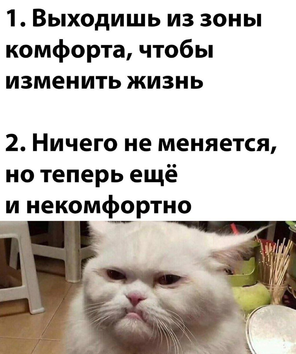 1 Выходишь из зоны комфорта чтобы изменить жизнь 2 Ничего не меняется но теперь ещё и некомфортно