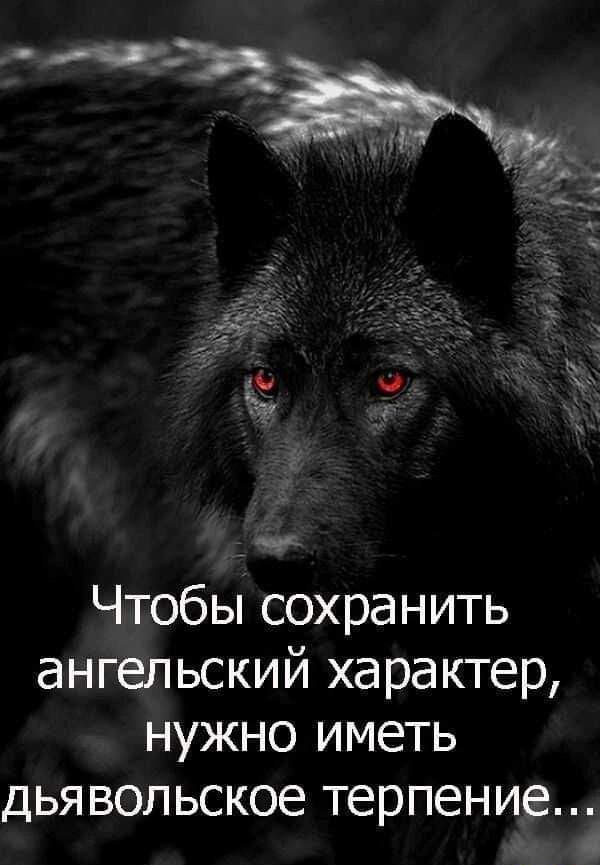 Чтобы сохранить ангельский характер нужно иметь дьявольское терпение