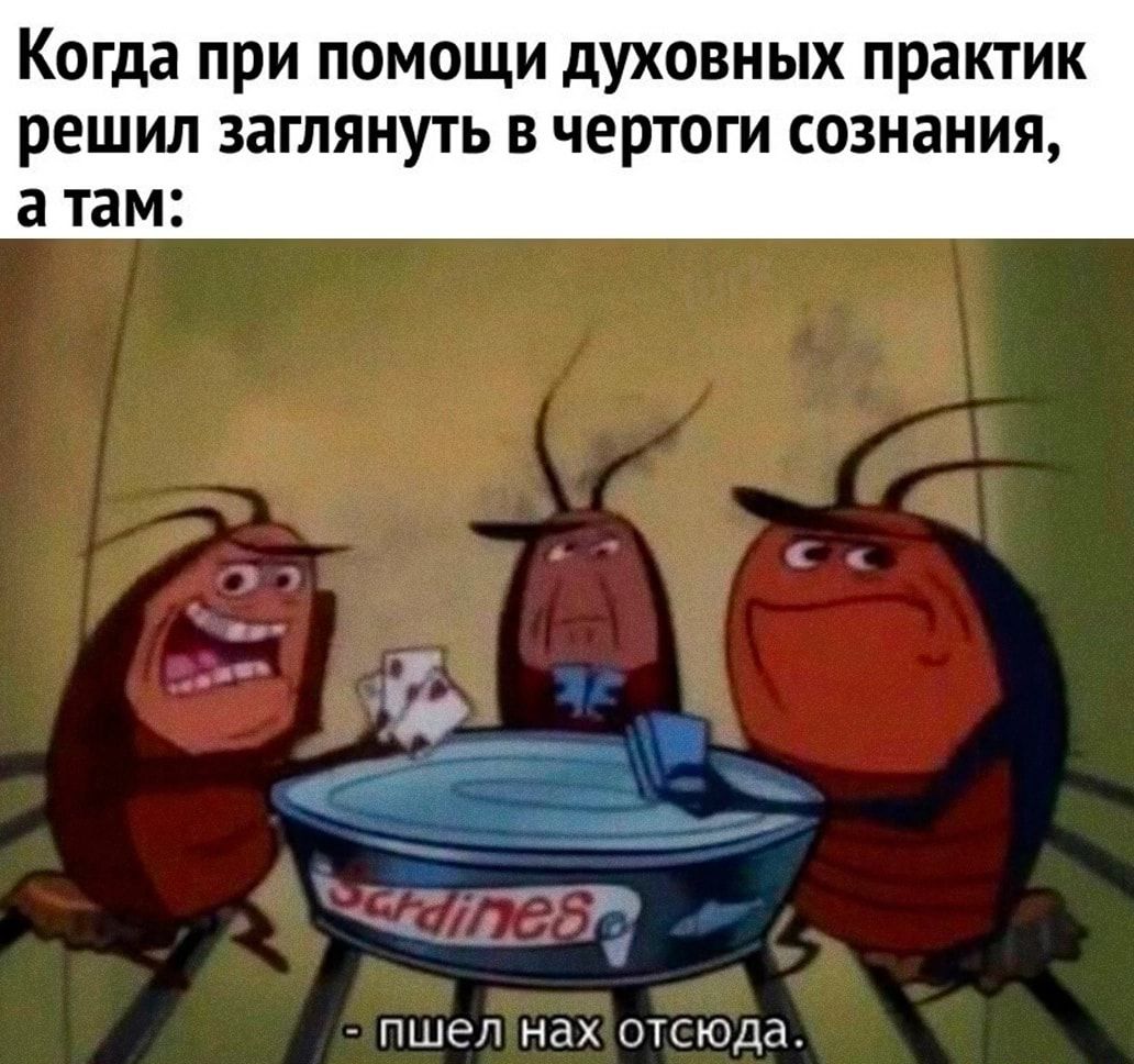 Когда при помощи духовных практик решил заглянуть в чертоги сознания а там пшеп нах отсюда