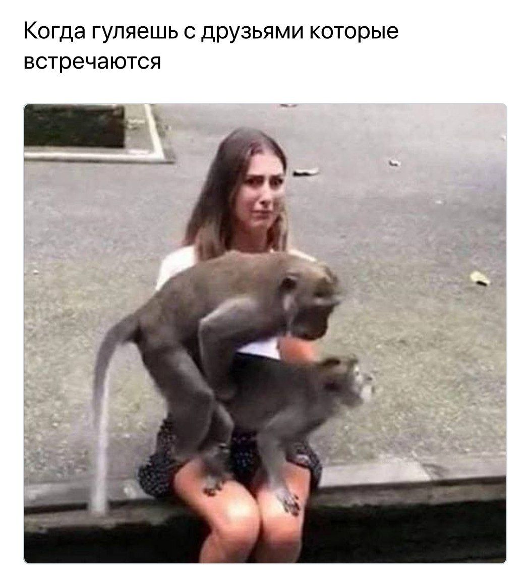 Когда гуляешь с дрУ3ьями которые встречаются