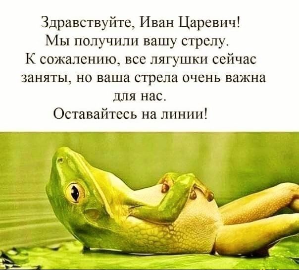 Здравствуйте Иван Царевич Мы получили вашу стрелу К сожаленшо все лягушки сейчас заняты не ваша стрела очень важна для нас Оставайтвсь на линии