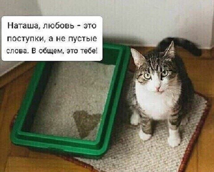 Нааша СЮЕЬ же в н пустыг