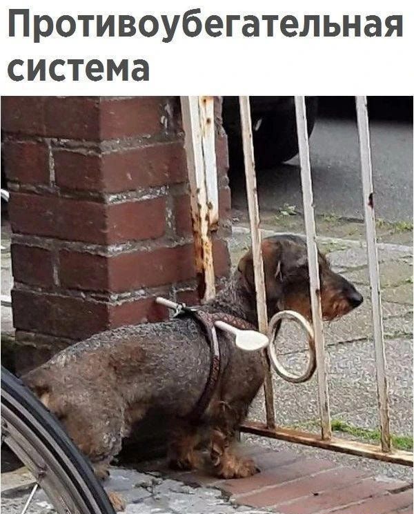 Противоубегательная система