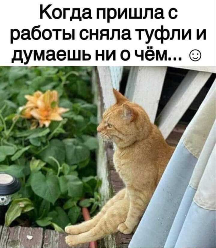 Когда пришла с работы сняла туфли и думаешь ни о чём