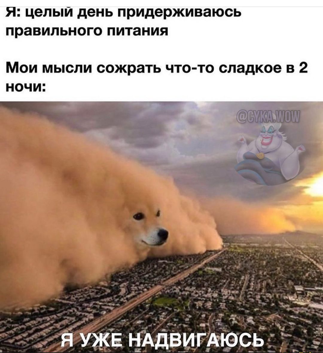я целый день придерживаюсь правильного питания Мои мысли сожрать что то сладкое в 2 ночи Я УЖЕ НАДВИЁАЮСЬ