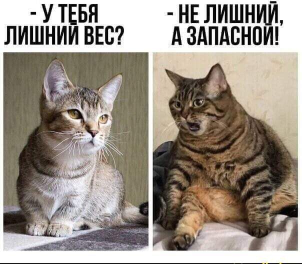 У ТЕБЯ НЕ ЛИШНИЙ ЛИШНИИ ВЕС А ЗАПАВНПИ