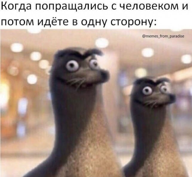Когда попращапись с человеком и потом идёте в одну сторону