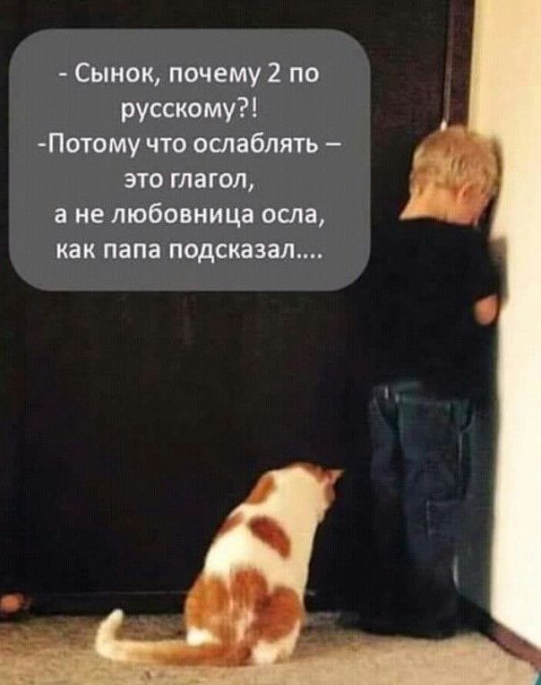 Сынок почему 2 по русскому Потому что ослаблять это глагол а не любовница осла как папа подсказал