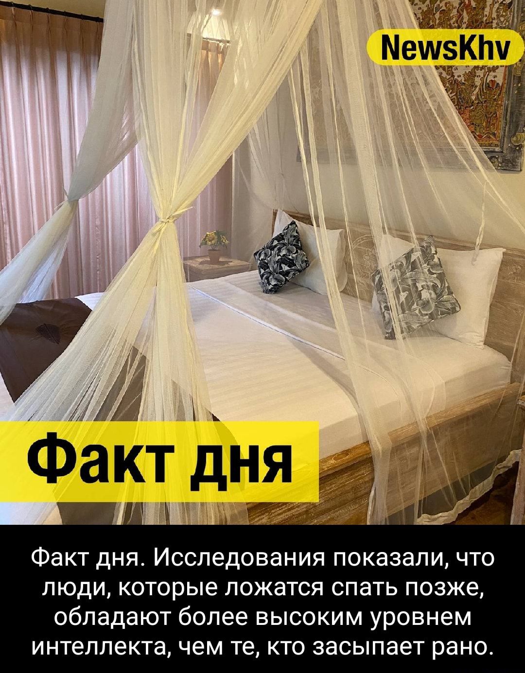 а 1554 _ Факт дня _ Факт дня Исследования показали что ЛЮДИ которые ПОЖЗТСЯ СПЭТЬ позже обладают более высоким уровнем интеллекта чем те КТО засыпает рано