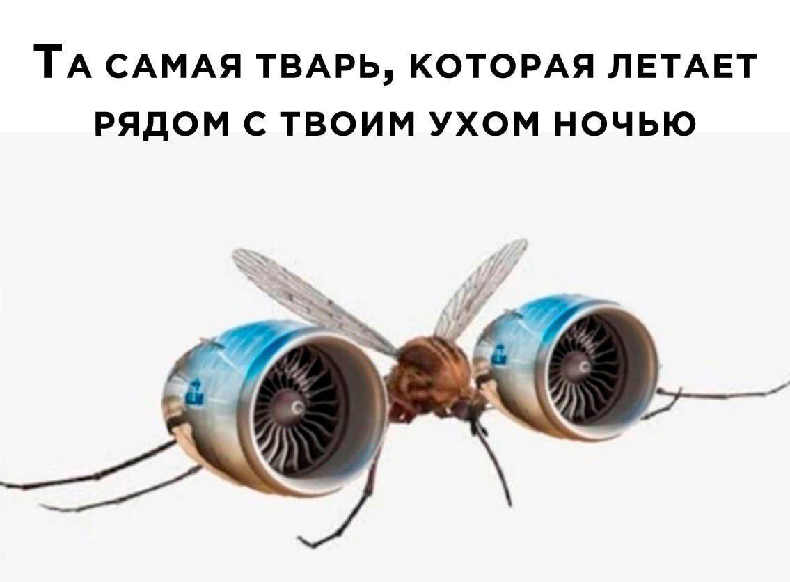 ТА САМАЯ ТБАРЬ КОТОРАЯ ЛЕТАЕТ РЯДОМ С ТВОИМ УХОМ НОЧЬЮ