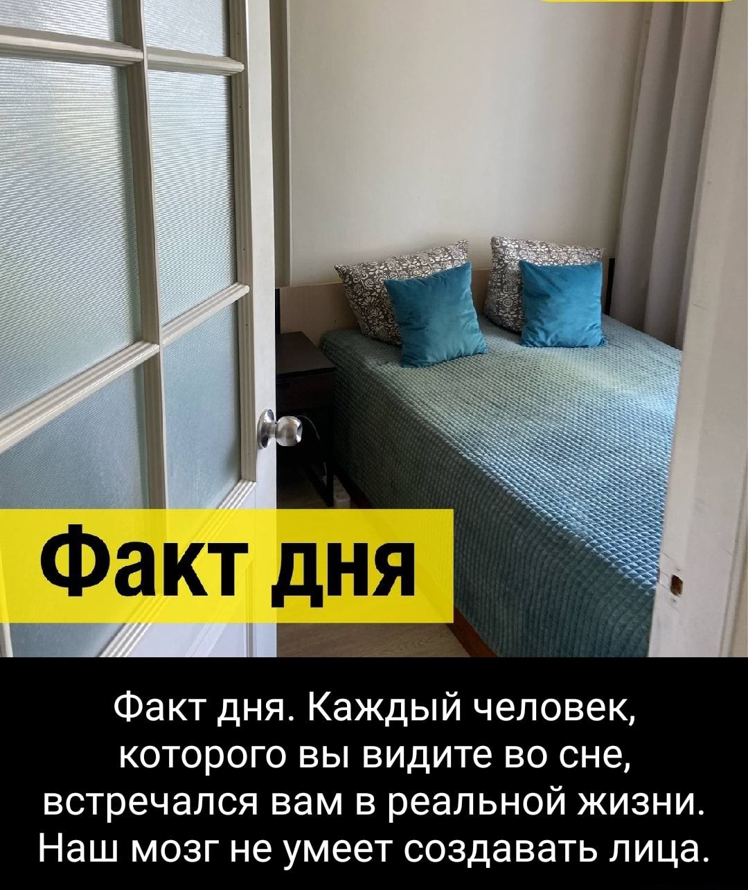 Факт дня Факт дня Каждый человек которого вы видите во сне встречался вам в реальной жизни Наш МОЗГ не умеет СОЗДЗВЭТЬ пица