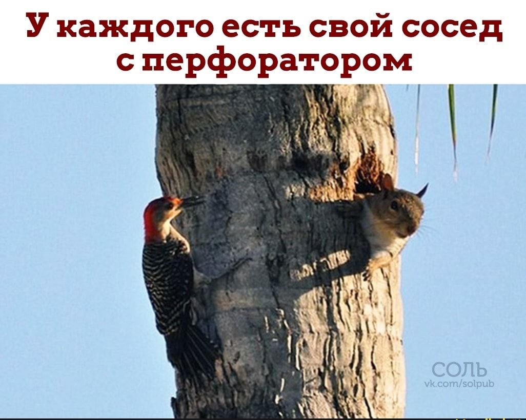 У каждого есть свой сосед с перфоратором УП